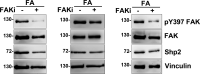 Figure S1.