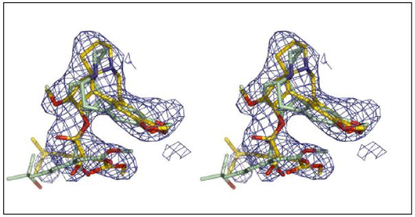 Figure 6