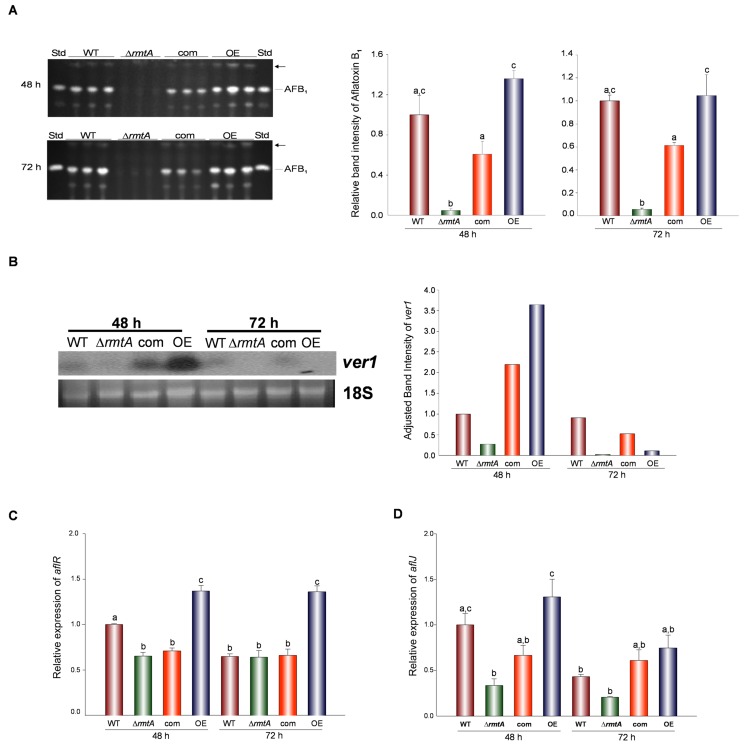 Fig 6