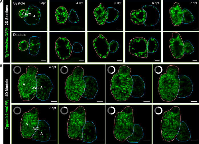 FIG. 4.