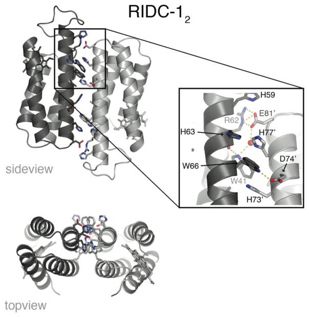 Figure 13