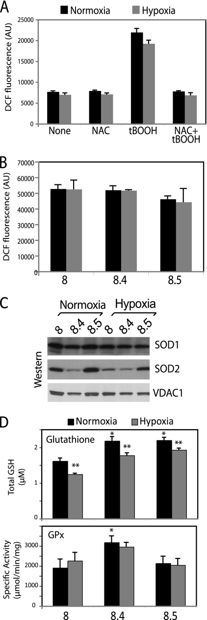 Fig 10