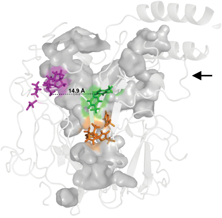 Fig. 7.