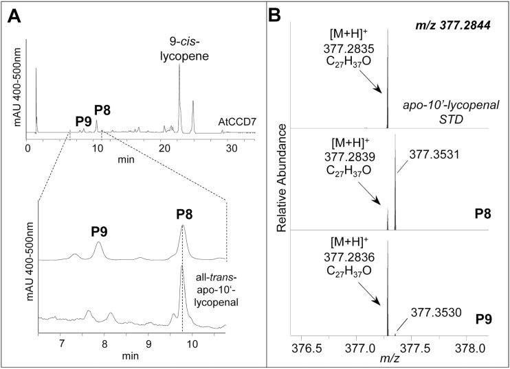 Fig. 6.