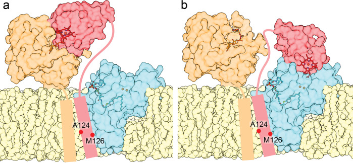 Fig. 7