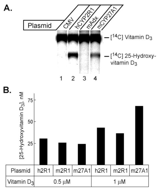 Fig. 8