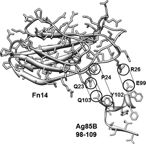 FIGURE 7.