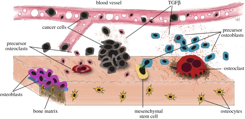 Figure 6.