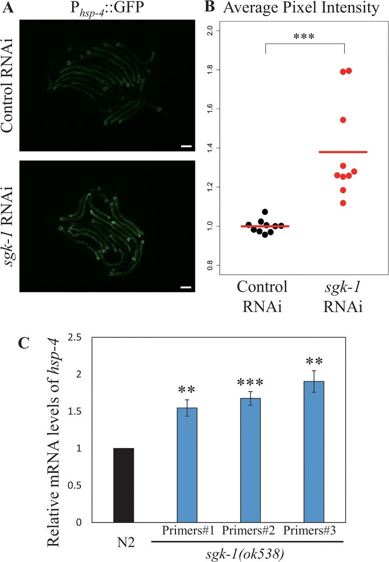 Fig 8