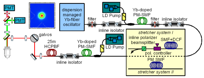 Fig. 1