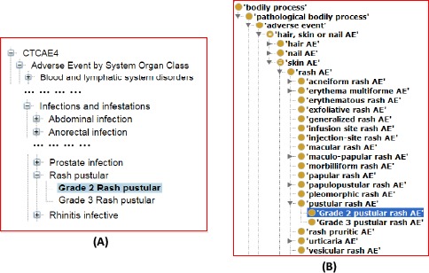 Figure 2.