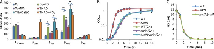 FIG 3