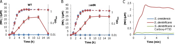 FIG 2