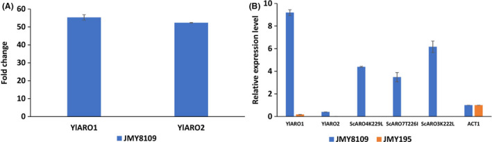 Fig. 6