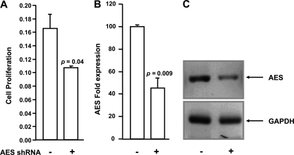 FIGURE 10.