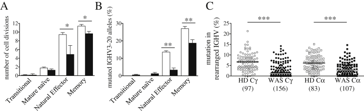 Fig. 6