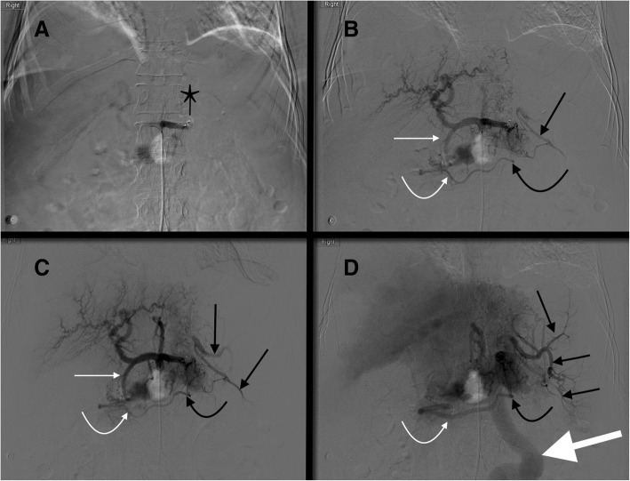 Fig. 9