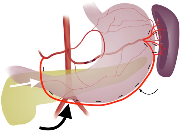 Fig. 8