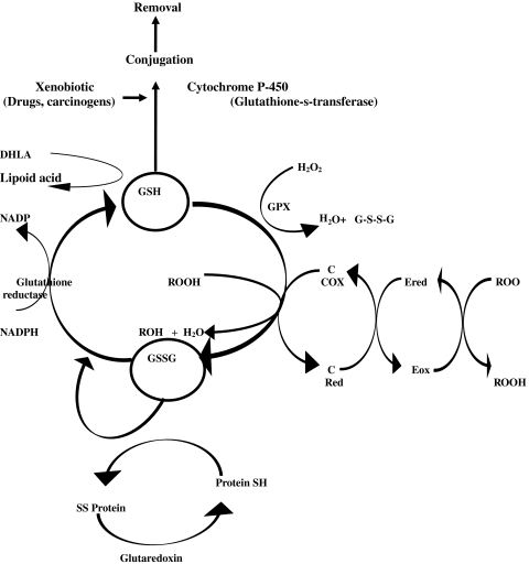 Fig. 6