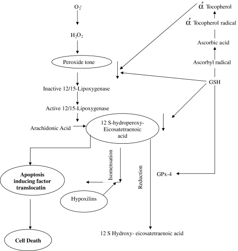 Fig. 4