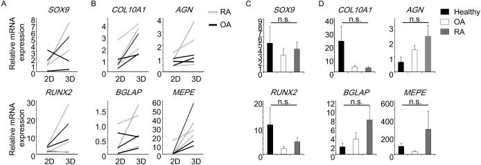 Fig 8