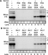 FIG. 6.