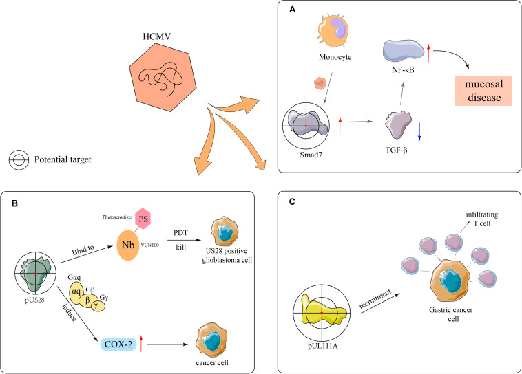 FIGURE 3