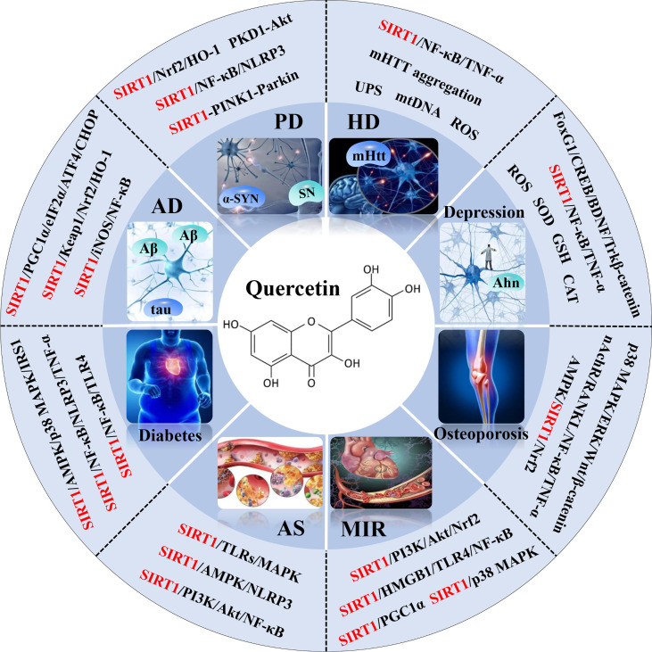 Graphical Abstract