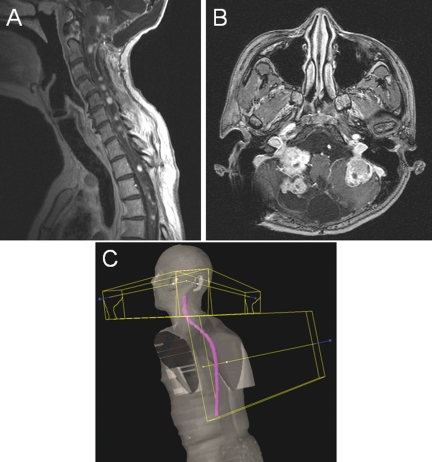 Fig. 1.