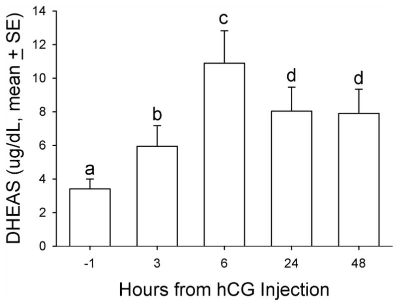 FIG. 6