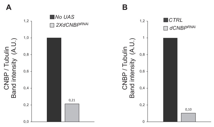 Figure 6—figure supplement 3.