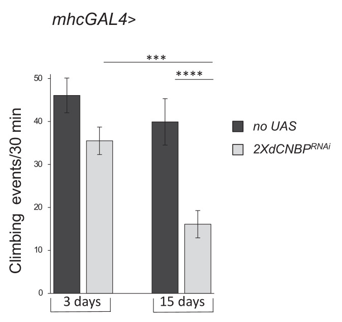 Figure 7—figure supplement 3.