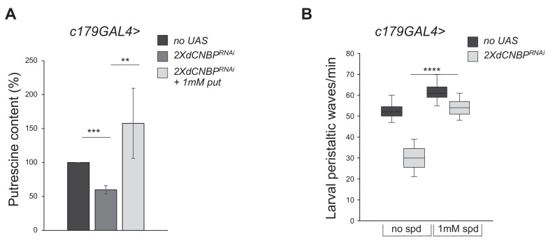 Figure 7—figure supplement 1.