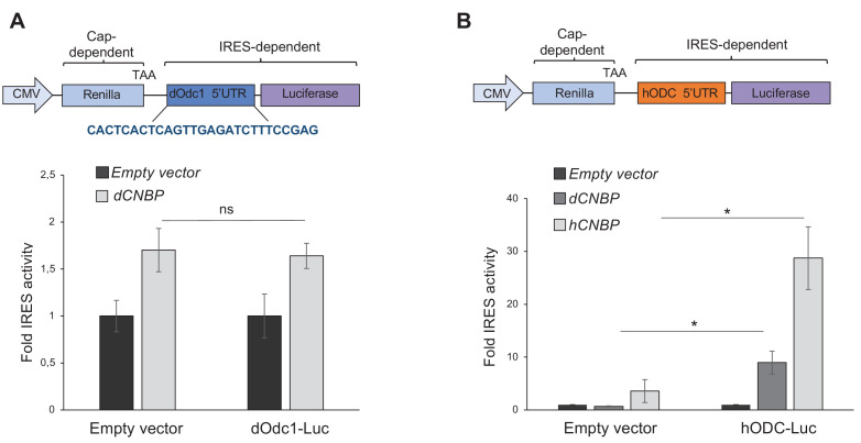 Figure 6—figure supplement 1.