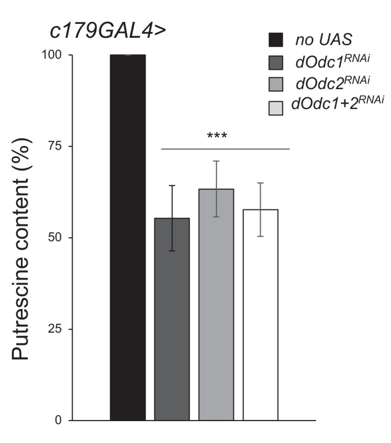 Figure 4—figure supplement 1.