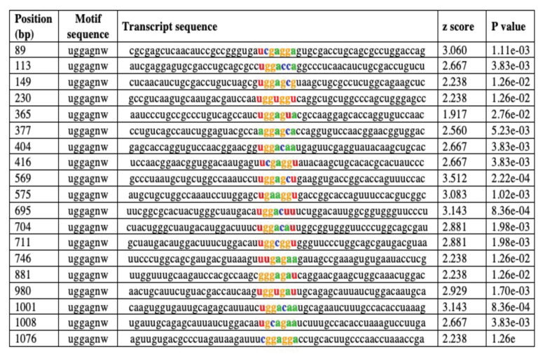 Figure 6—figure supplement 2.