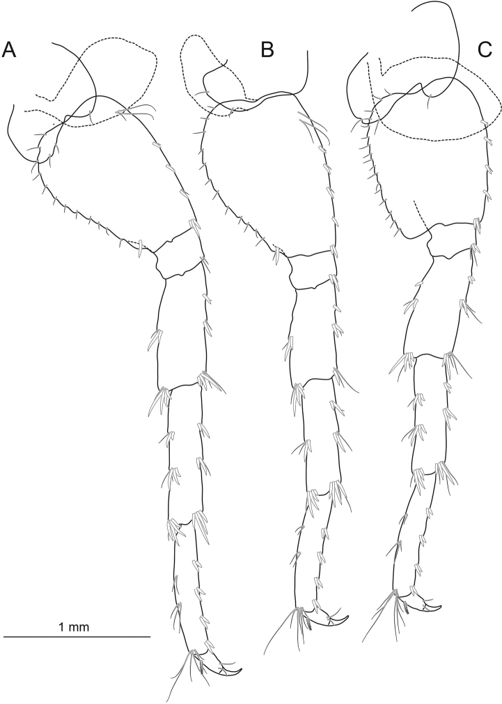 Figure 5.