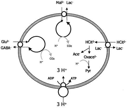 FIG. 4.