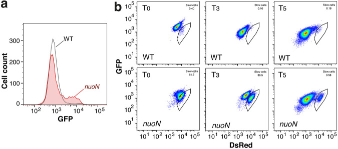 FIG 3