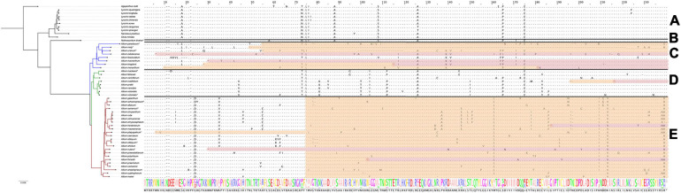 FIGURE 3