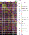 Extended Data 1: