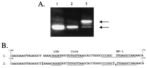 FIG. 5