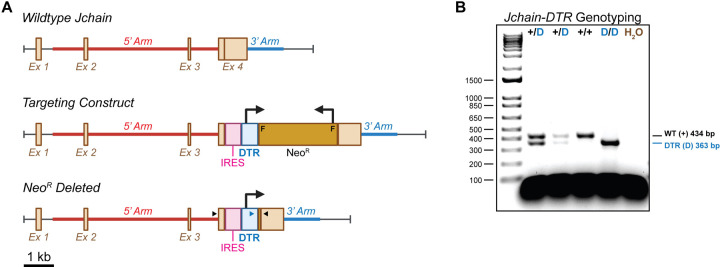 Figure 1: