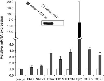 FIG. 10.