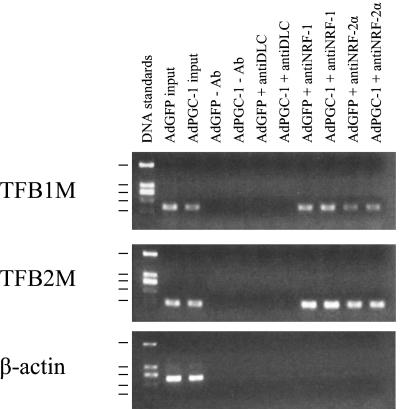 FIG. 11.