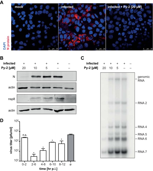 FIG 3