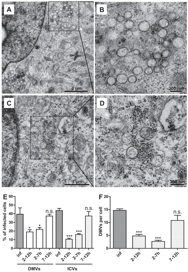 FIG 6