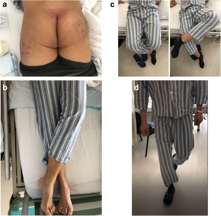 Fig. 3