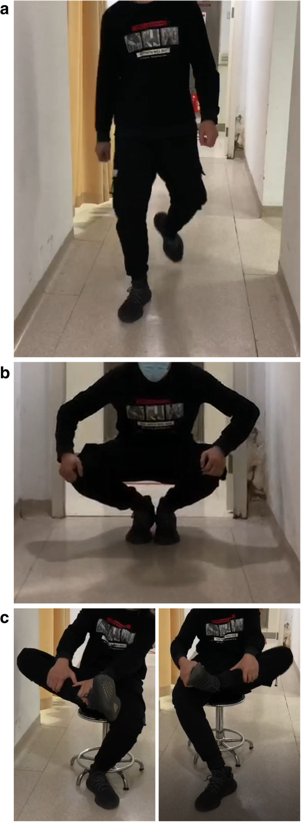Fig. 1