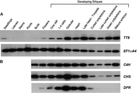 Figure 7.